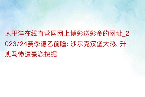 太平洋在线直营网网上博彩送彩金的网址_2023/24赛季德乙前瞻: 沙尔克汉堡大热, 升班马惨遭豪恣挖掘