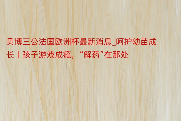 贝博三公法国欧洲杯最新消息_呵护幼苗成长丨孩子游戏成瘾，“解药”在那处